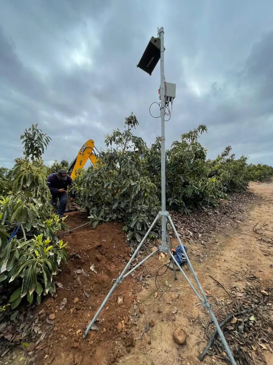 Equipo Fieldsense con sensores de suelo y ambiente instalado en un huerto de paltos en Illapel